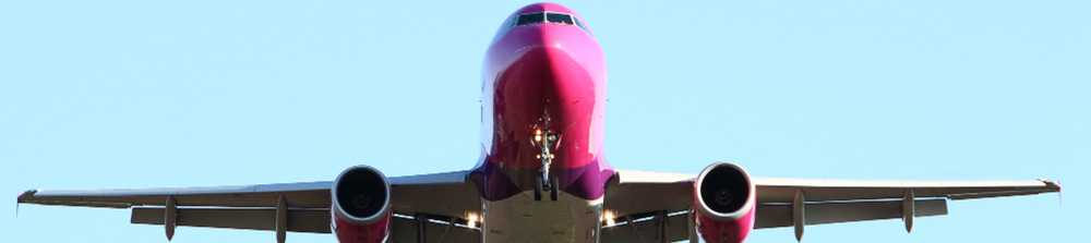 Delta Airlines FLL Terminal..jpg