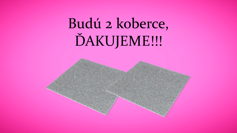 Projekt úspešne ukončený!