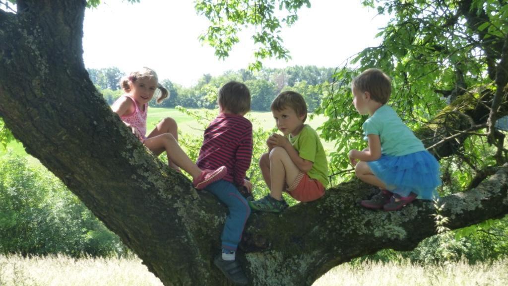 Holubník děti na stromě b.jpg