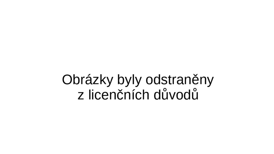 odsraneny.jpg