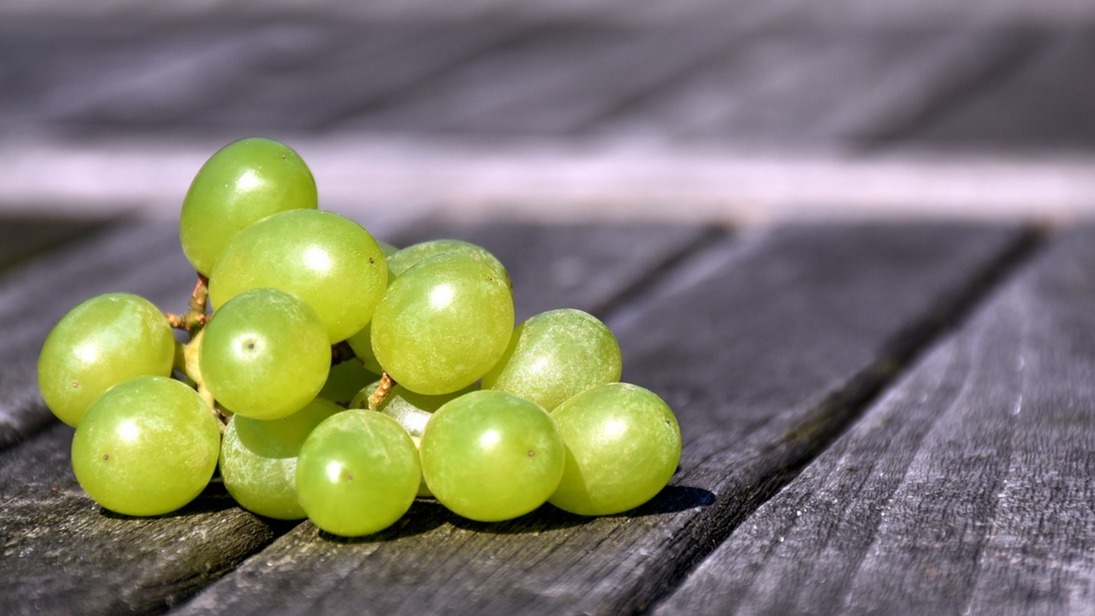 grapes-2182073_1280.jpg