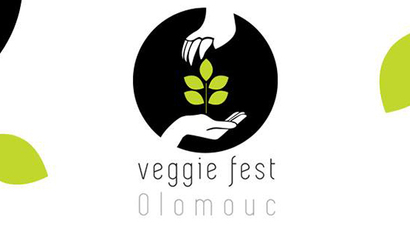 veggie_fest-startovac.jpg