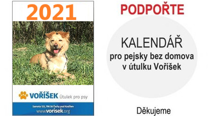 logo-kalendar-2021jpg.png