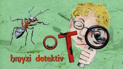 oto zeleny.jpg