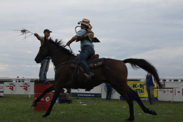 Koňské rodeo