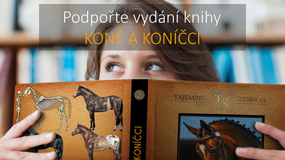 Kone a konicci-obal2.jpg