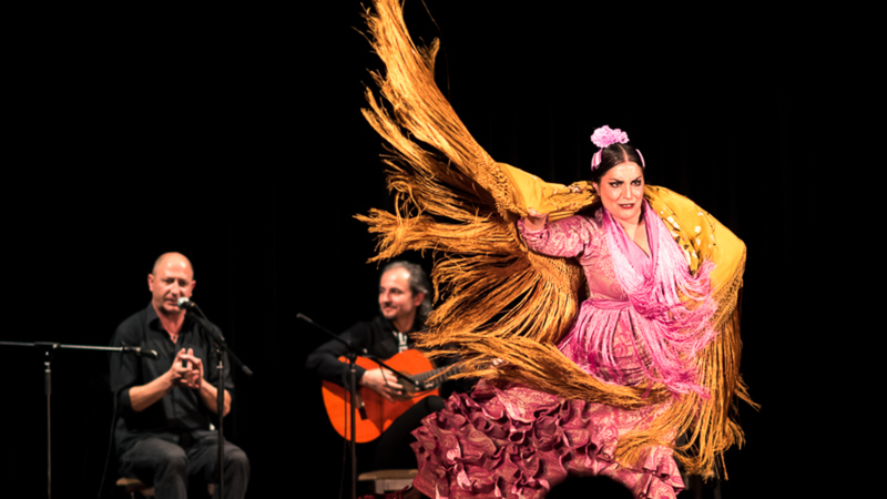 2647-flamencopa2016-filipFOTOGRAFcz-nahled.jpg