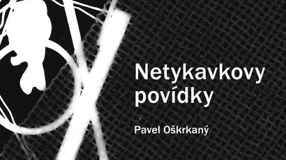 Netykavkovy_povidky_obalka2_obrysy-01.jpg