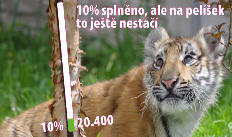 Máme 10%!