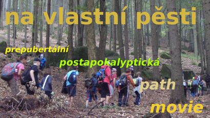 Na vlastní pěsti.jpg