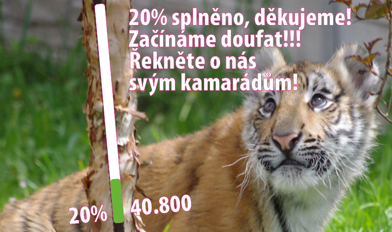 20%! Děkujeme!