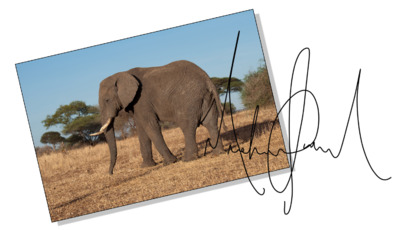 Slon s podpisem.jpg