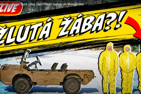 zluta zaba.png