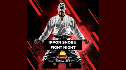kopie of fight night.jpg