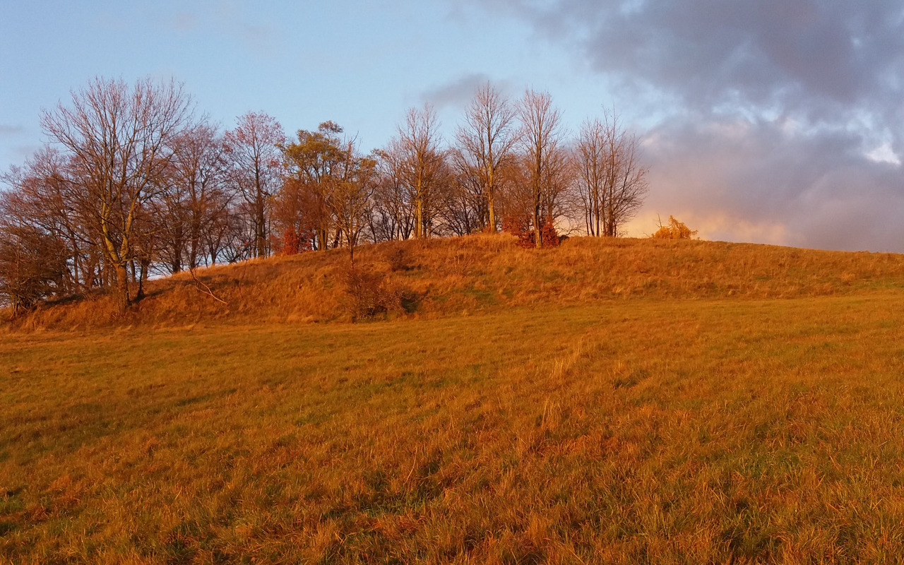 20201119_155125.jpg