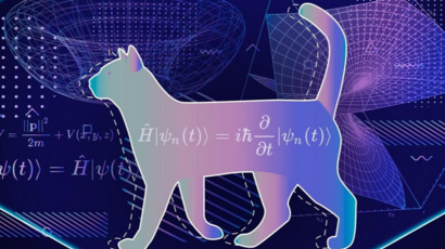 shcat.jpg