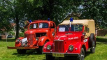 IMG_7977.JPG