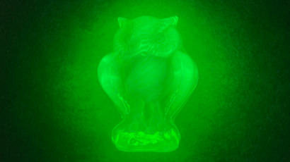 IMG_2324.jpeg