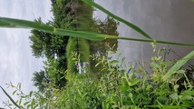 20240612_141115.jpg