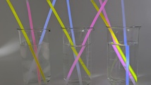 PXL_20250326_064859434.jpg