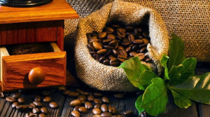 Organic-Coffee-Introduction.jpg