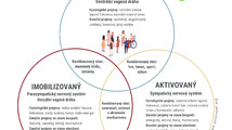 ANS-diagram-CZECH-2025.png