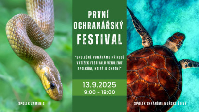 Festival startovač.png