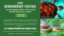 Intro festival.png