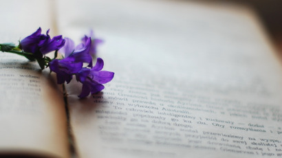 book-2378479_1280.jpg