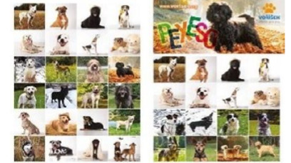 Screenshot 2025-11-01 at 21-36-15 Upravit Charitativní kalendář útulku Voříšek 2026 Startovač.png