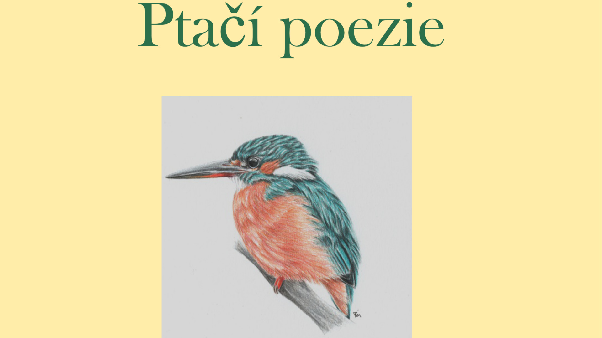 Ptačí poezie náhledový obr video.jpg