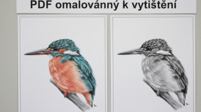 omalovánky PDF.png