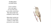 Cvrčilka_báseň.jpg