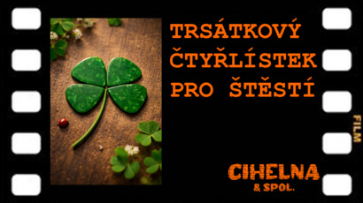 3 ČTYŘLÍSTEK TRSÁTKA.jpg