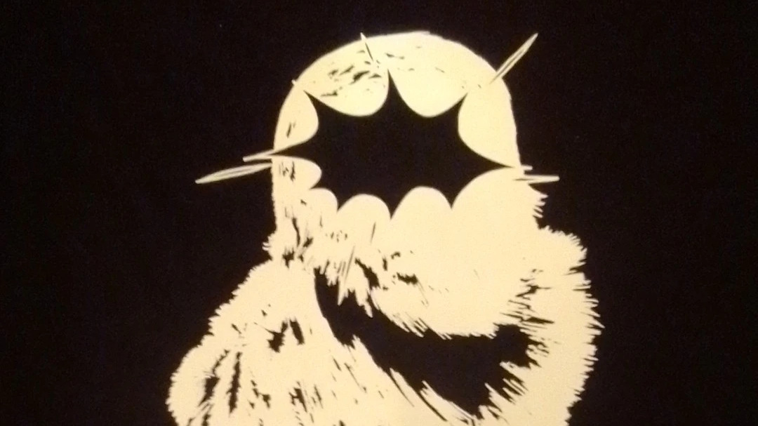 Tričko černé nebo bílé SOVA zářící