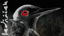 Messenger_creation_30472642-6F64-421D-B4FF-F2C07F468747.jpeg