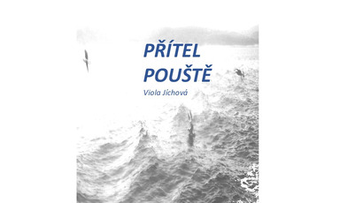 Obrázek 1 pro Startovač.jpg