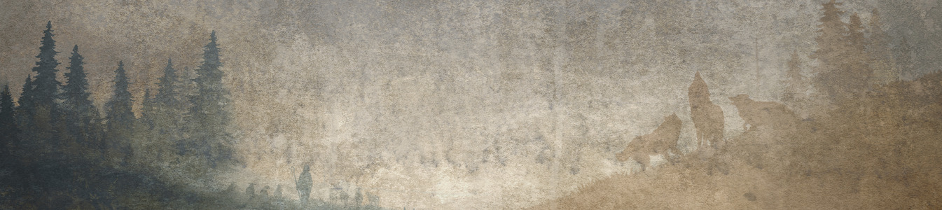 Hubert_library_hero_3840x1240.png