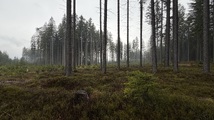 IMG_7572.jpeg