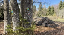 IMG_8190.jpeg