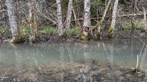 IMG_7676.jpeg