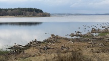 IMG_7861.jpeg