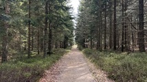 IMG_8094.jpeg