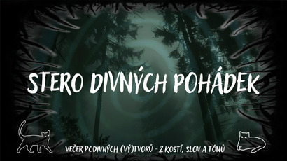kniha.png