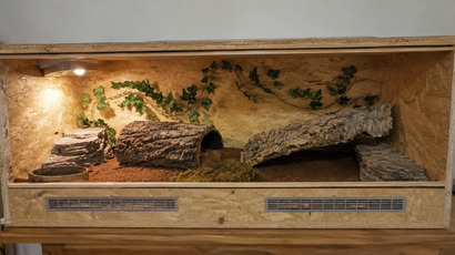 Terarium.png