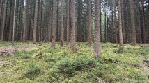 IMG_8983.jpeg