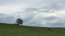 IMG_6972.jpeg