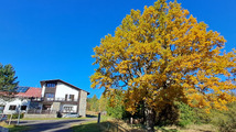 20251019_144318.jpg