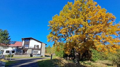 20251019_144318.jpg