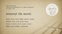 SKREPAČ videa (69).png
